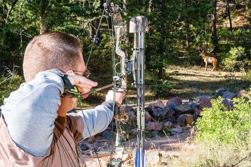 Man preparing to shoot deer with arrow