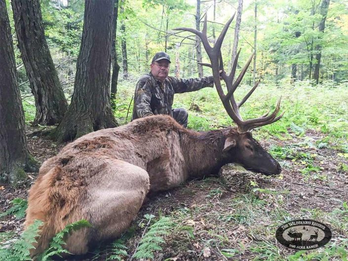 a hunter with a bull elk 