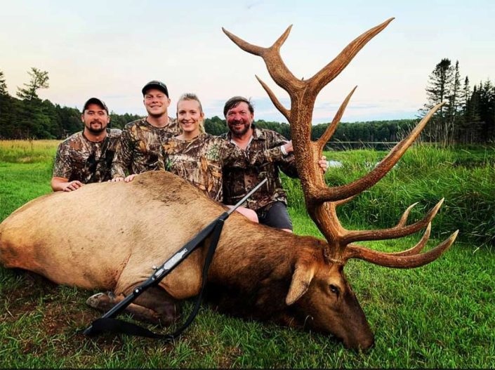 a group of four show of a bull elk kill 