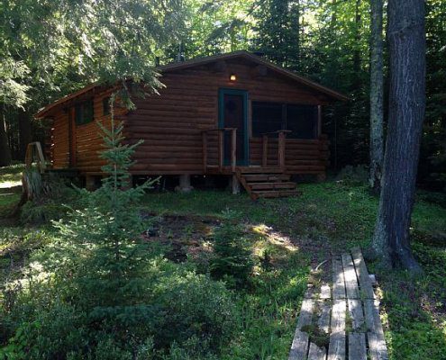 Bear Cabin Rustic Rental Michigan