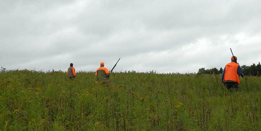 Guided Pheasant Hunting