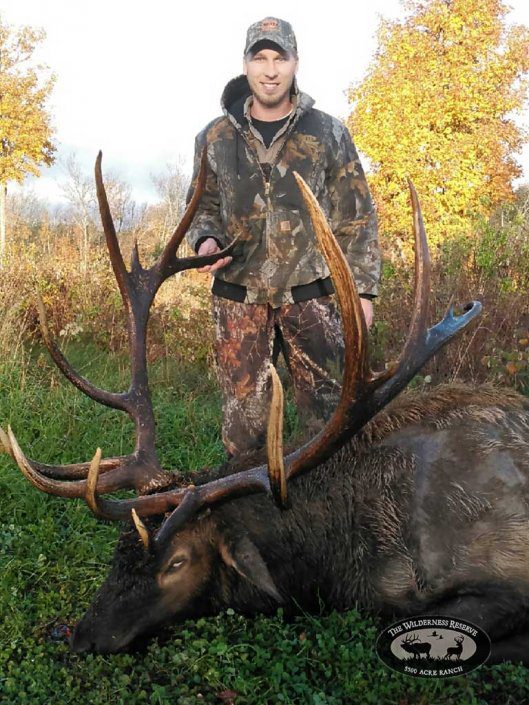 Trophy Elk Guided Hunt Northern Wisconsin